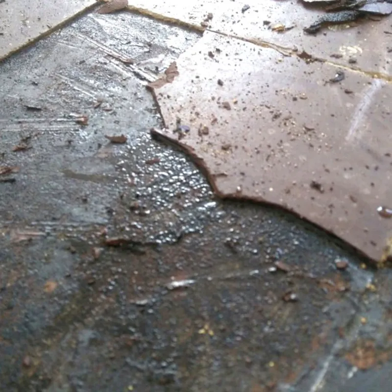 How to deal with rising damp in concrete slabs